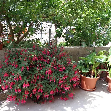 Apartament Nada Mundanije